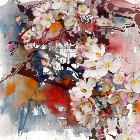 Blossoming apple tree, painting and mixed media art background